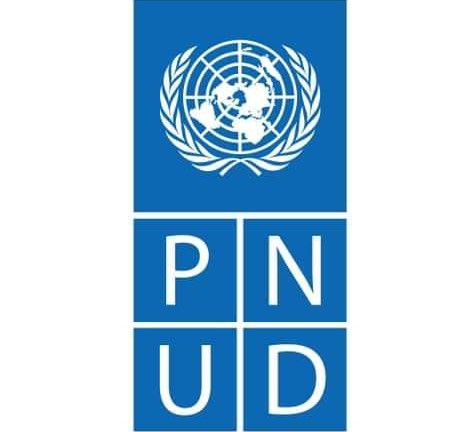 logo pnud